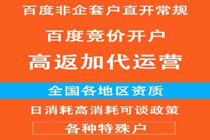 百度广告竞价排名实战技巧案例分析